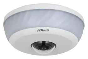 Dahua IPC-EB81242-PD 12 MP WizMind IP Fisheye Kamera