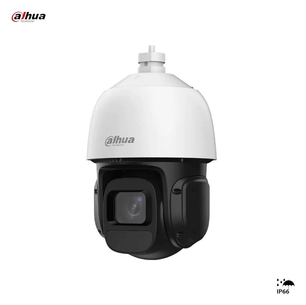 Dahua SD3D216NB-GNY 2 MP WizSense IP PTZ Kamera