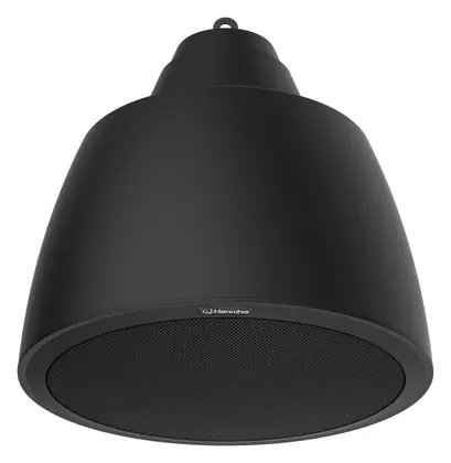 Hanwha Vision SPA-P100B IP Hoparlör