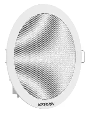 Hikvision DS-QAE0203G1-V Hoparlör — görsel 2