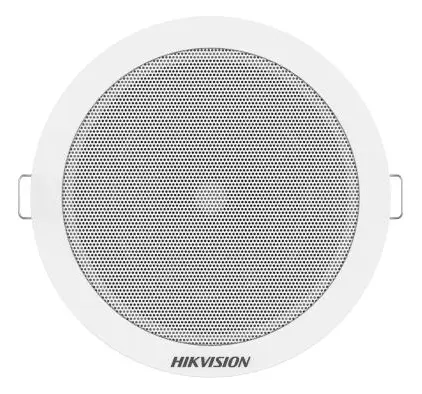 Hikvision DS-QAE0206G1-V Hoparlör