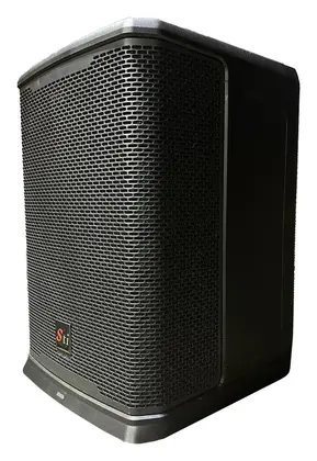 STI CP 1263 300W 12" Subwoofer