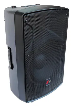 STI M 12A 12" Sahne Monitörü