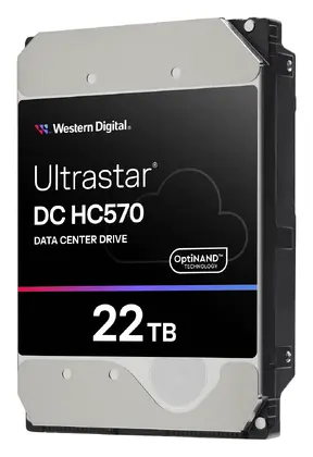 WD Ultrastar DC HC570 22TB 3.5" SAS Kurumsal Disk (0F48051)