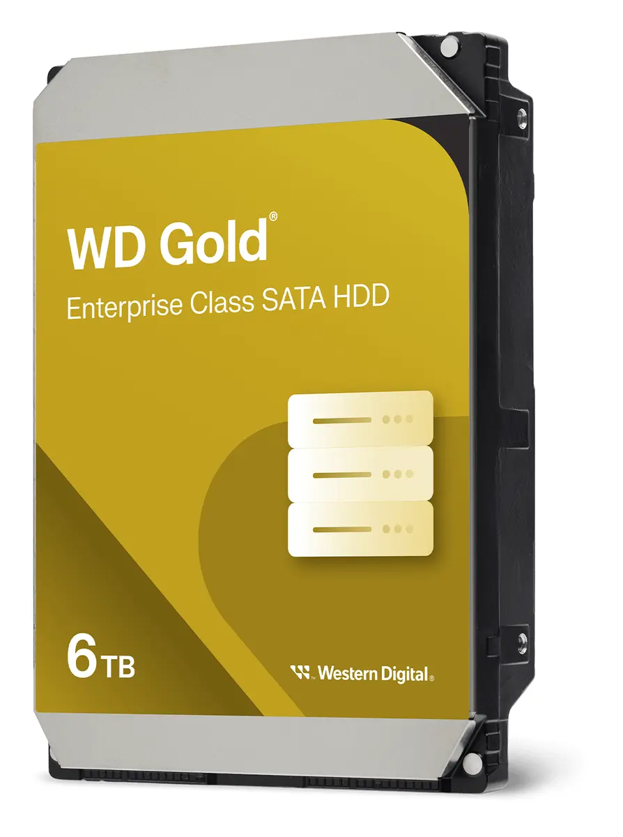 WD Gold 6TB 3.5" SATA Kurumsal Disk (WD6004FRYZ)
