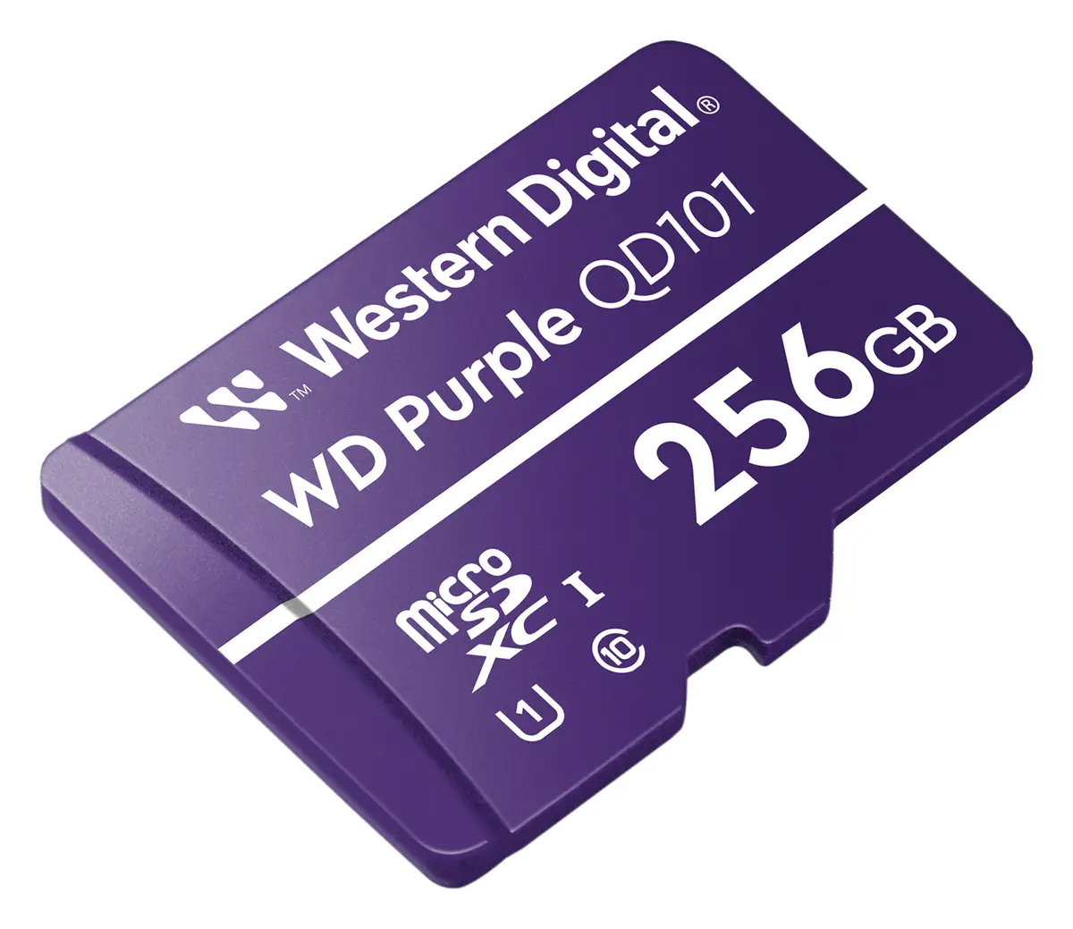 WD Purple QD101 256GB microSD Hafıza Kartı (WDD256G1P1C) — görsel 2