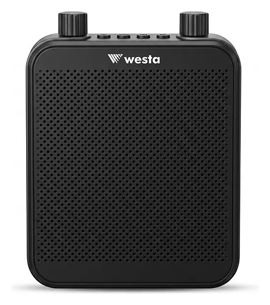 Westa WAP-300T Taşınabilir Ses Sistemi