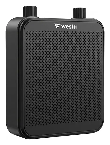 Westa WAP-300T Taşınabilir Ses Sistemi — görsel 2
