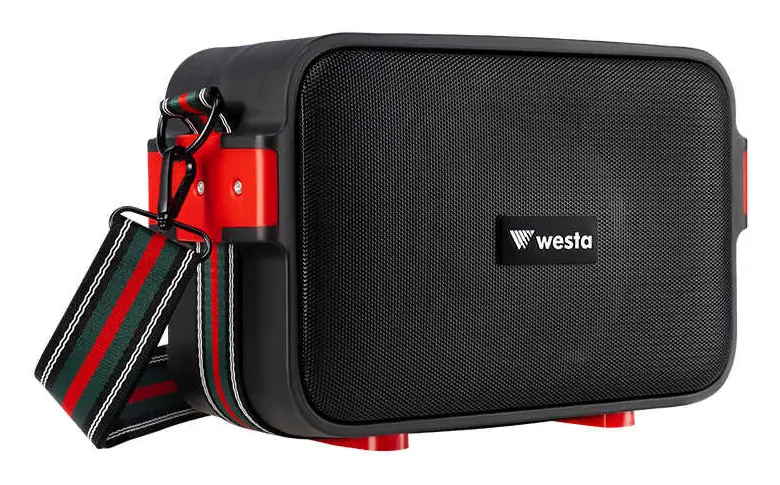 Westa WAP-500T 40W 2" Taşınabilir Ses Sistemi — görsel 2