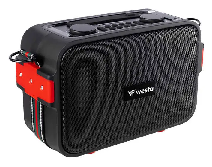 Westa WAP-500T 40W 2" Taşınabilir Ses Sistemi — görsel 3