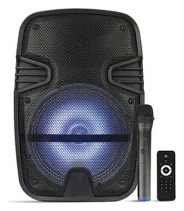 Westa WAP-8053E 100W 8" Taşınabilir Ses Sistemi