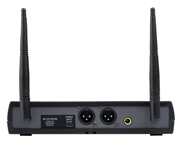Westa WM-202T Kablosuz Mikrofon Seti — görsel 5