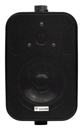 Westa WS-402TB 4" 100V Siyah Kolon Hoparlör