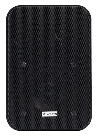 Westa WS-405B 4" 100V Siyah Kolon Hoparlör — görsel 2