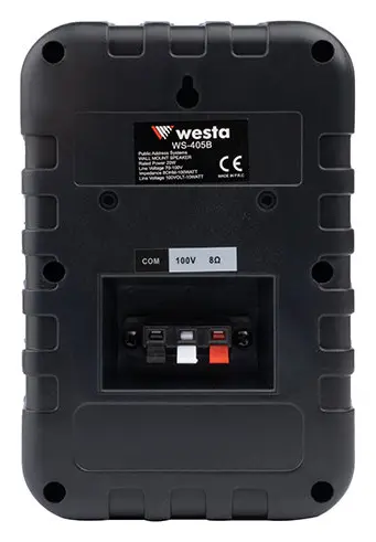 Westa WS-405B 4" 100V Siyah Kolon Hoparlör — görsel 4