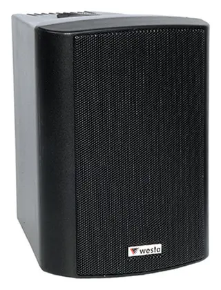 Westa WS-4TB 100W 4" 100V IP65 Siyah Pasif Hoparlör