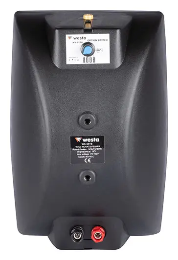 Westa WS-55TB 5.25" 100V Siyah Pasif Hoparlör — görsel 2