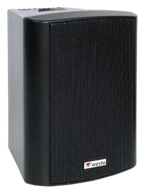 Westa WS-5TB 125W 5.25" 100V IP65 Siyah Pasif Hoparlör