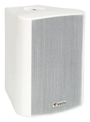 Westa WS-6TW 150W 6.5" 100V IP65 Beyaz Pasif Hoparlör