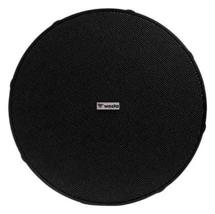 Westa WS-97B 50W IP66 Siyah Sarkıt Hoparlör