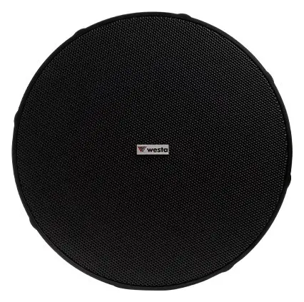 Westa WS-97B 50W IP66 Siyah Sarkıt Hoparlör