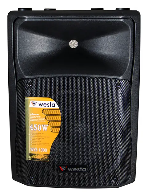 Westa WSS-1000 450W 10" Pasif Hoparlör