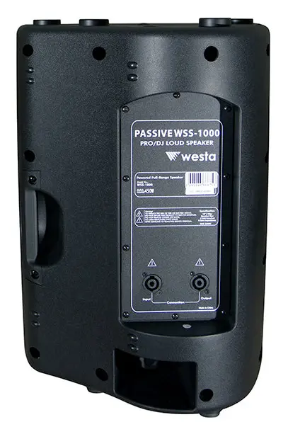 Westa WSS-1000 450W 10" Pasif Hoparlör — görsel 2