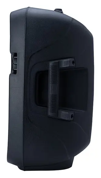 Westa WSS-1010 300W 10" Pasif Hoparlör — görsel 3