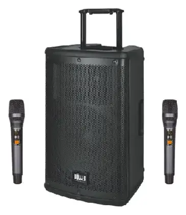 Woller W-1230DSP Taşınabilir Ses Sistemi