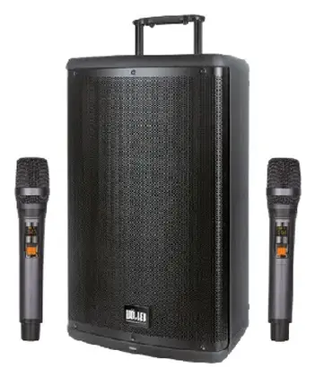 Woller W-1540DSP Taşınabilir Ses Sistemi