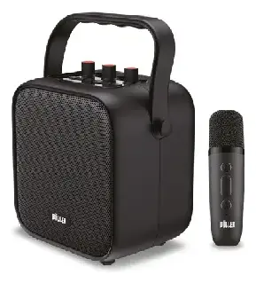 Woller W-505E 50W Taşınabilir Ses Sistemi