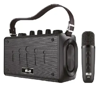 Woller W-600E 100W Taşınabilir Ses Sistemi