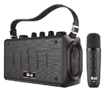 Woller W-600E 100W Taşınabilir Ses Sistemi