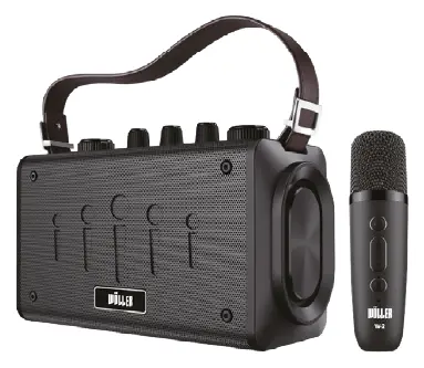 Woller W-600E 100W Taşınabilir Ses Sistemi — görsel 2