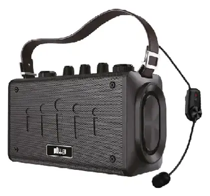 Woller W-600H 100W Taşınabilir Ses Sistemi
