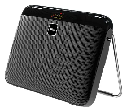 Woller W-86 150W Taşınabilir Ses Sistemi