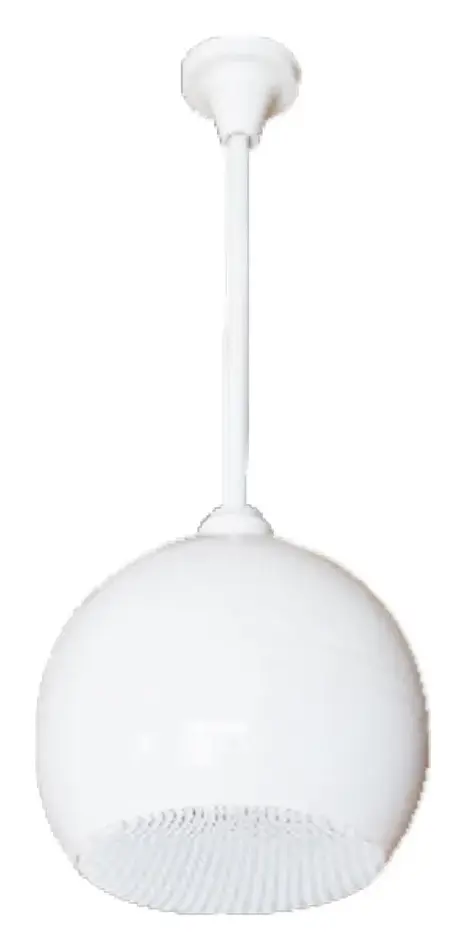 Woller WSS-645 30W 100V Tavan Hoparlörü