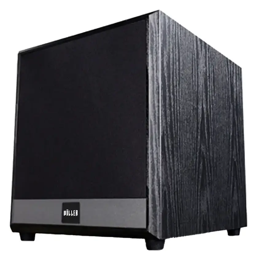 Woller WSUB-10 10" Subwoofer